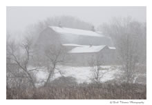 Click for larger image