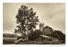 Click for larger image