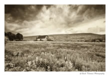 Click for larger image