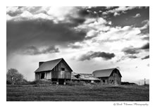 Click for larger image