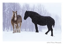 Rural Living